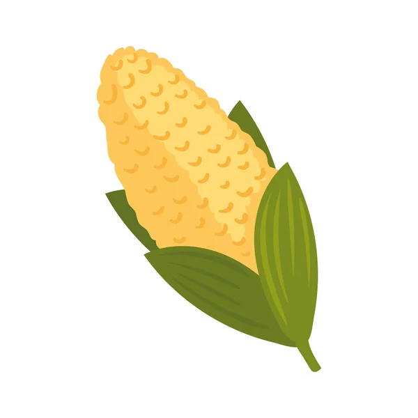 Maïs Verse Groenten Natuur Icoon — Stockvector