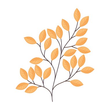 portakal yaprakları bitki örtüsü.