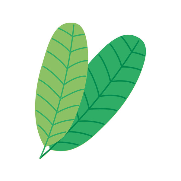 green leafs plants nature icon