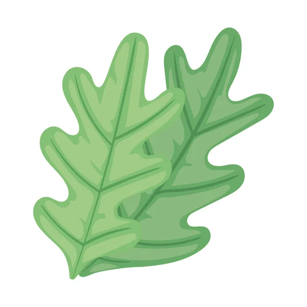 Blätter Pflanzen Ökologie Natur Symbol — Stockvektor