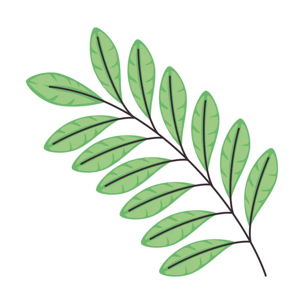 Branch Green Leafs Foliage — Image vectorielle