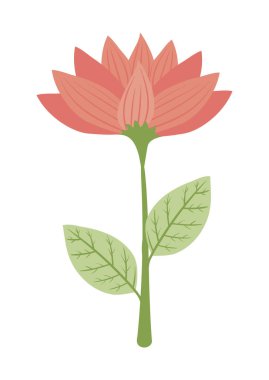 kırmızı çiçek ve yaprak bahçesi