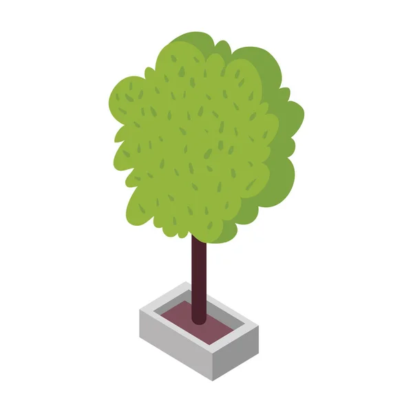 Tree Plant Isometric Style Icon — Image vectorielle