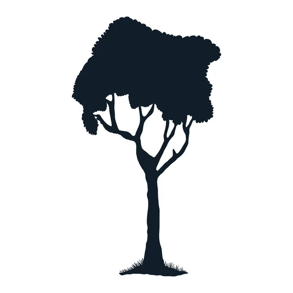Forest Tree Plant Silhouette Icon — ストックベクタ