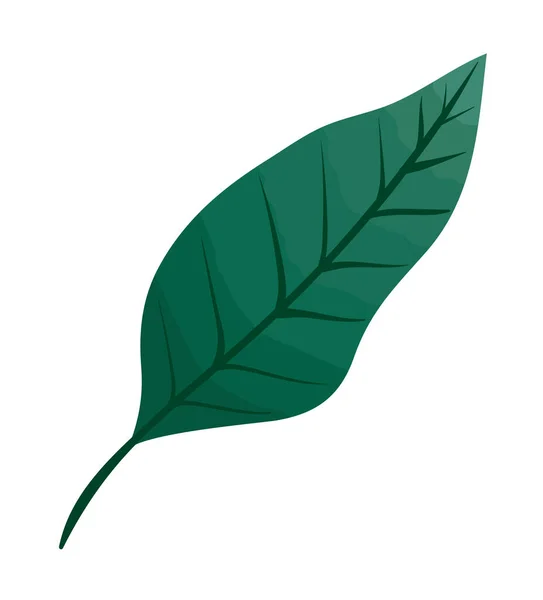 Leave Green Plant Foliage Icon — ストックベクタ