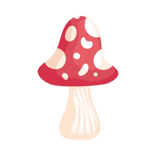 Cute Fungus Plant Nature Icon — Archivo Imágenes Vectoriales