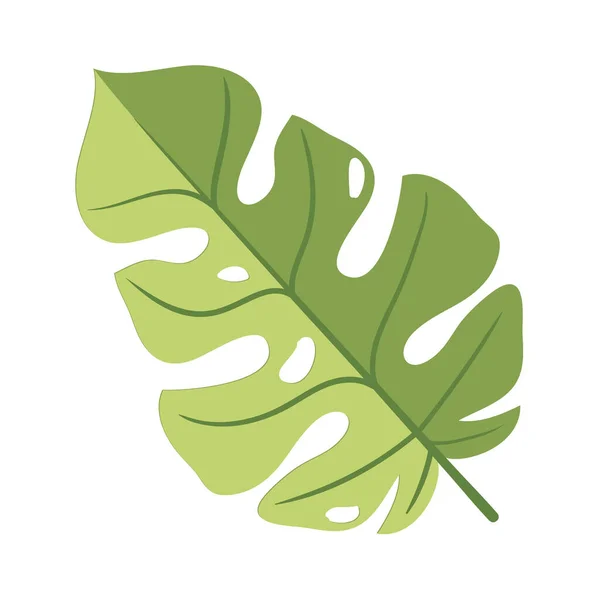 Tropical Leaf Plant Foliage Nature Icon — Wektor stockowy