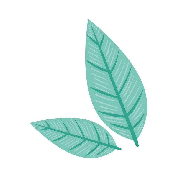 Two Leafs Nature Garden Icons — Image vectorielle