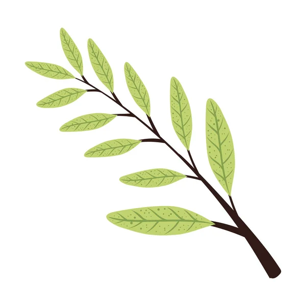 Green Branch Leafs Foliage Icon — Stock Vector
