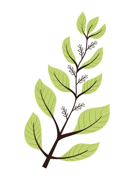 Zweig Mit Grünen Blättern Laub Symbol — Stockvektor