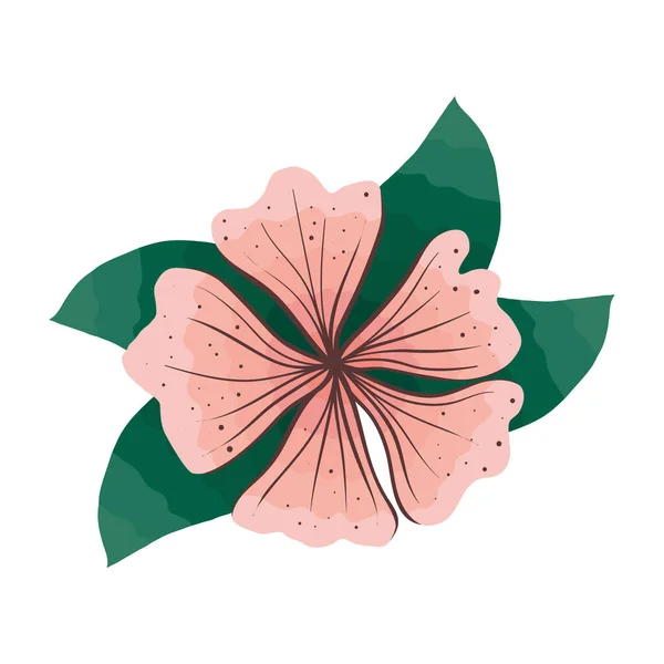 Pembe Çiçek Yapraklar Dekorasyon — Stok Vektör