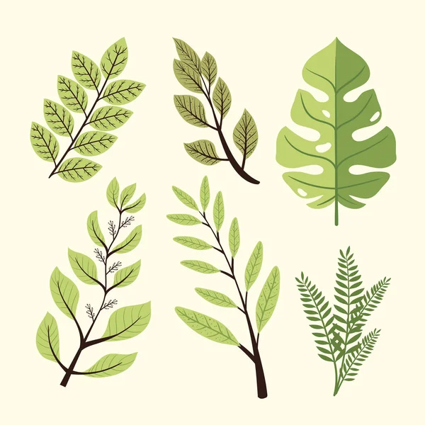 Six Branches Leafs Icon — Wektor stockowy