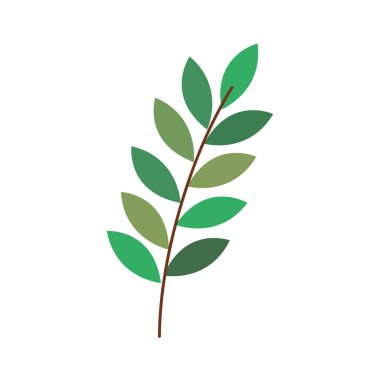 yapraklar bitki yaprağı doğa simgesi