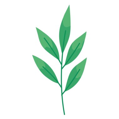 yapraklar bitki yaprağı doğa simgesi