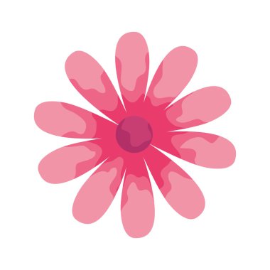 Pembe çiçek bahçesi dekorasyonu doğa simgesi