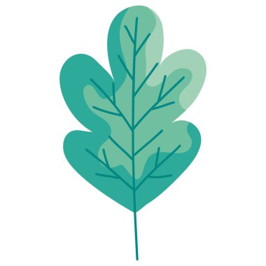 Yaprak bitkisi yaprağı doğa simgesi