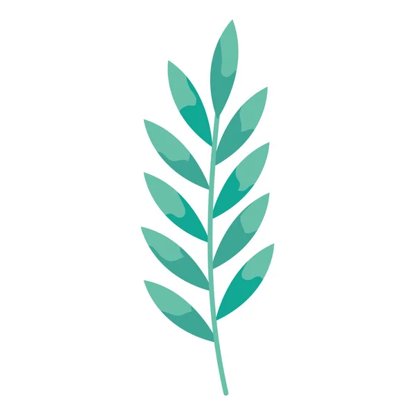 Leafs Branch Foliage Nature Icon — 스톡 벡터
