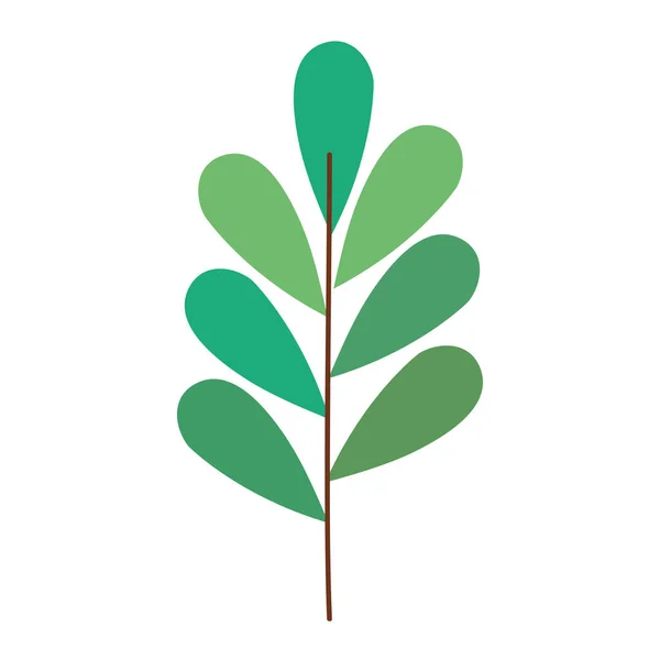 Leafs Branch Foliage Nature Icon — Archivo Imágenes Vectoriales