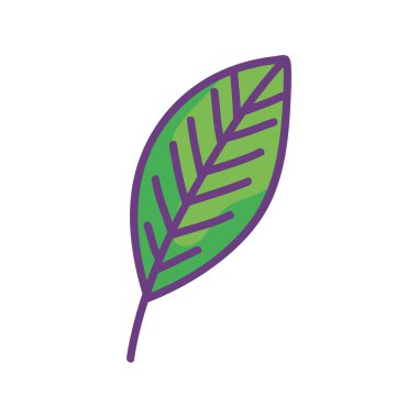 Yaprak bitkisi yaprağı doğa simgesi