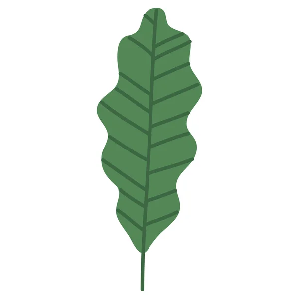 Leaf Plant Foliage Nature Icon — Image vectorielle