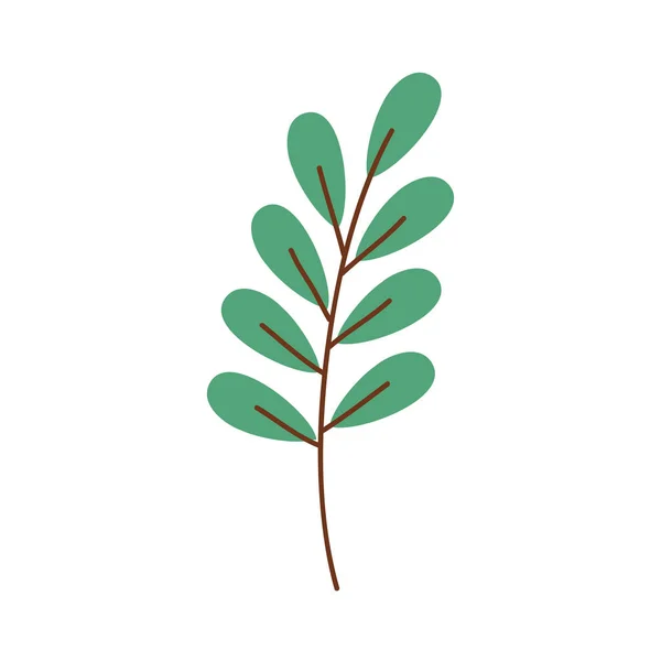 Leafs Branch Plant Foliage Nature Icon — Vetor de Stock