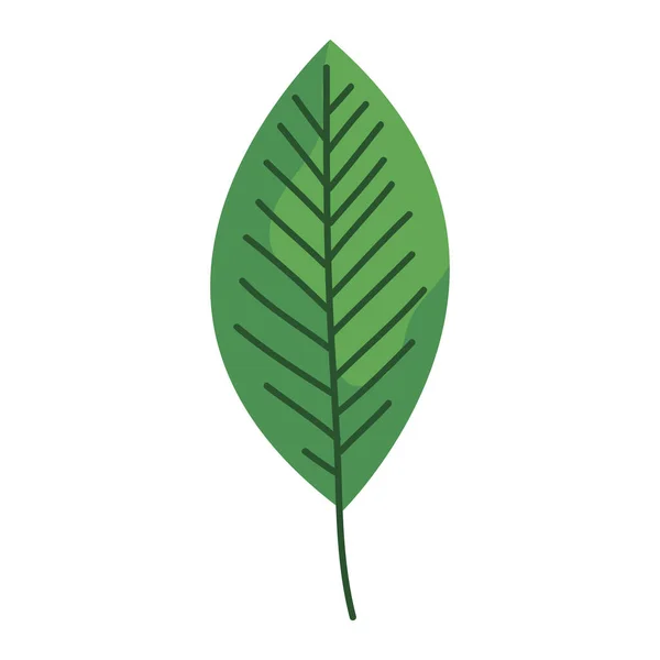 Leaf Plant Foliage Nature Icon — Stock vektor