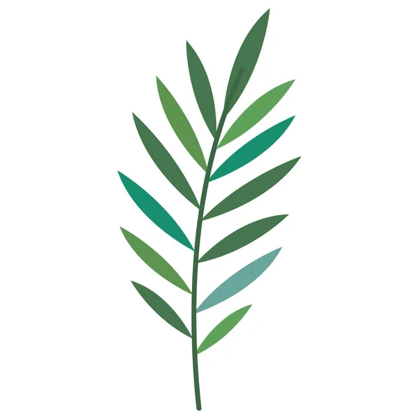 Exotic Branch Foliage Nature Icon — Stock vektor
