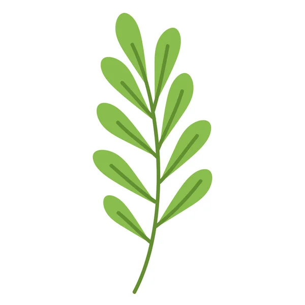 Ecology Branch Leafs Icon — Wektor stockowy