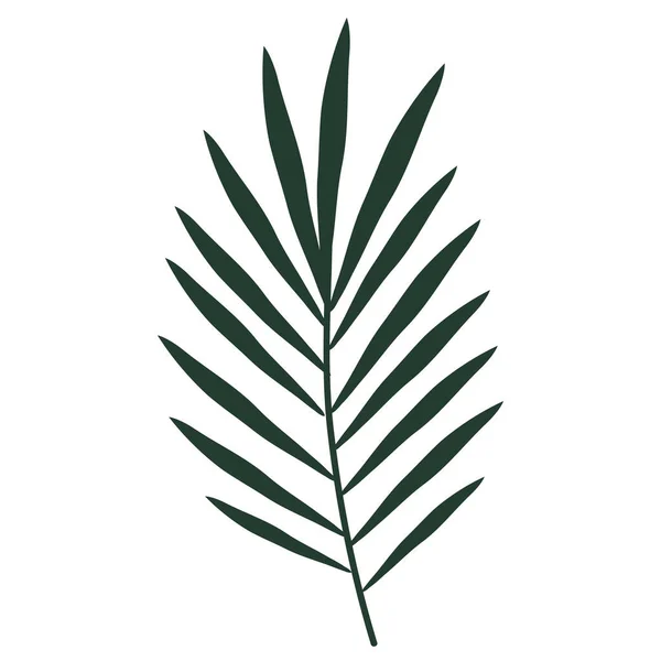 Tropical Branch Palm Foliage Icon — Stockvector