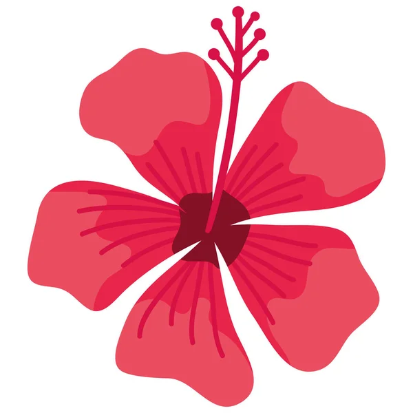 Red Hibiscus Flower Garden Nature Icon — Stock Vector