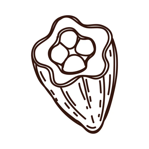Cocoa Half Fruit Sketch Icon — Διανυσματικό Αρχείο