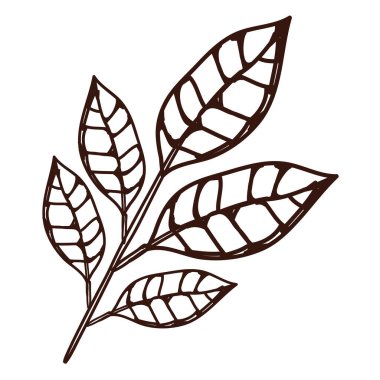 Yaprak çizim simgesine sahip dal