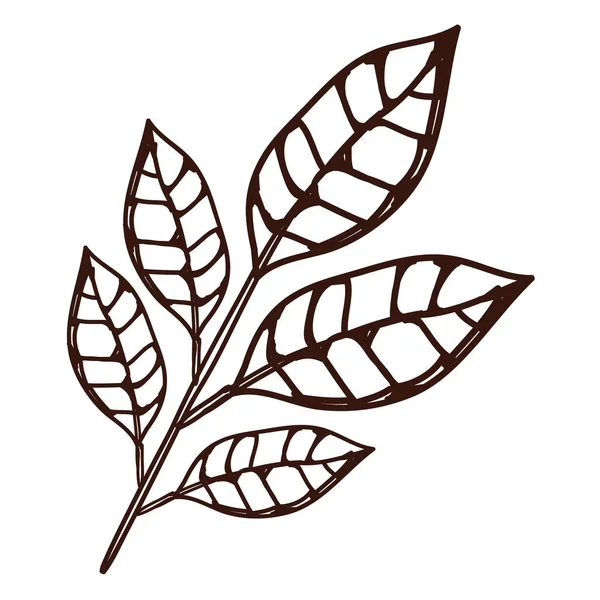 葉のスケッチのアイコンを持つ枝 — ストックベクタ
