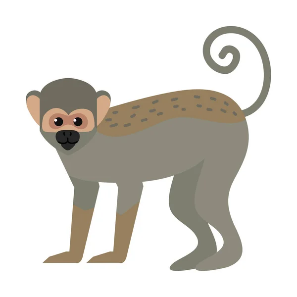 Titi Monkey Animal Wildlife Character — 图库矢量图片