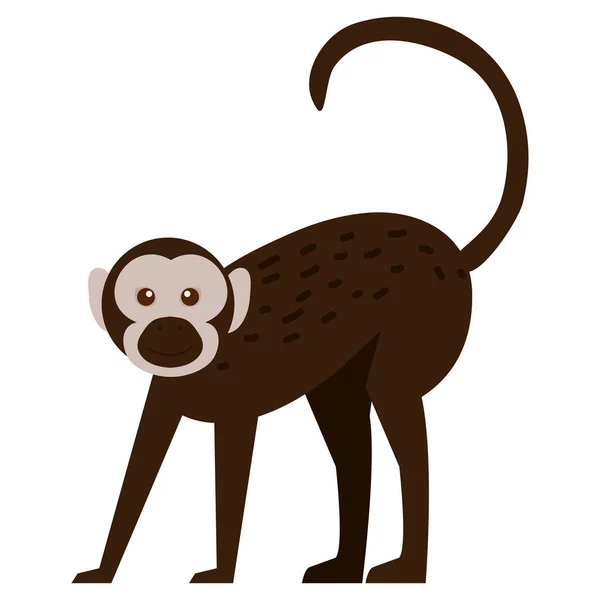 Macaque Monkey Animal Wildlife Character — Stock vektor