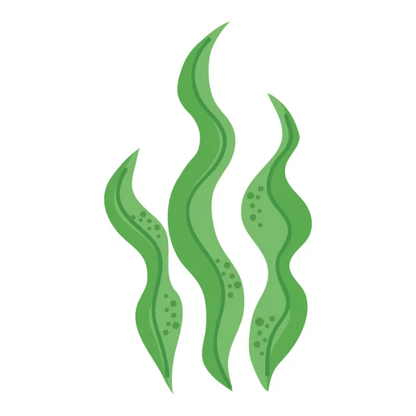 Algaes Green Color Sealife Icon — Διανυσματικό Αρχείο