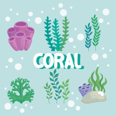 Mercan harfleri ve yosun simgeleri