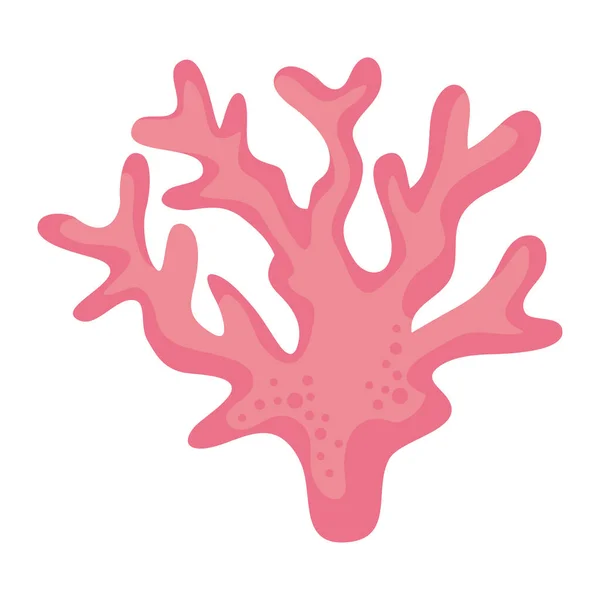 Pink Seaweed Sealife Nature Icon — 图库矢量图片