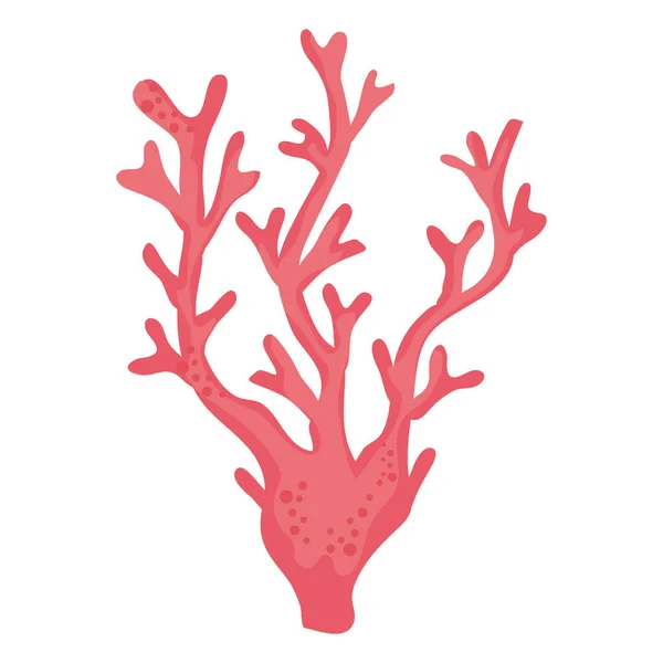 Algas Marinhas Vermelho Ícone Natureza Sealife — Vetor de Stock