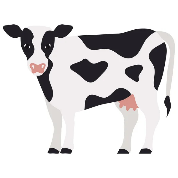 Αγελάδα Εικονίδιο Απομονωμένη Φάρμα Των Ζώων — Διανυσματικό Αρχείο