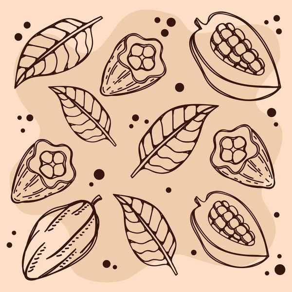 Cacaobladeren Fruitpatroon — Stockvector