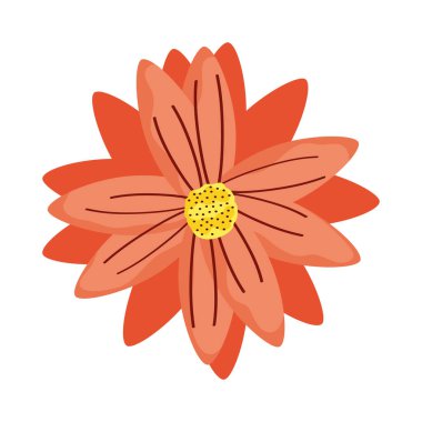 turuncu çiçek bahçesi dekorasyonu doğa simgesi