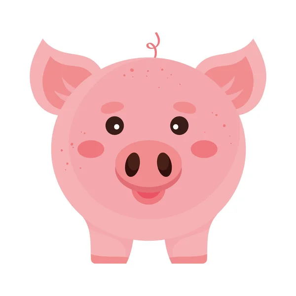 Pig Farm Animal Front Icon — Stock vektor