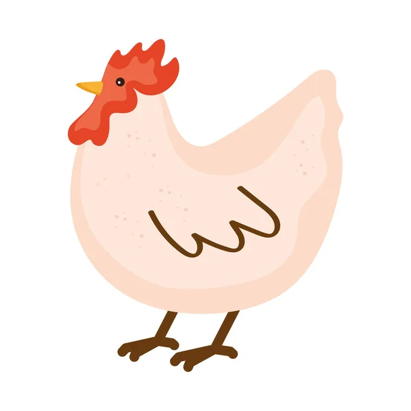 Hen Farm Animal Bird Icon — Stock Vector