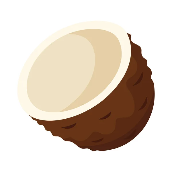 Half Coconut Fruit Fresh Icon — 스톡 벡터