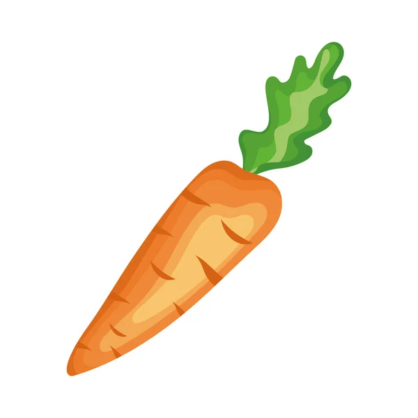 Karotte Frisches Gemüse Lebensmittel Symbol — Stockvektor