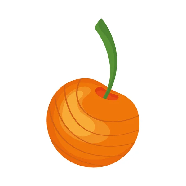 Cape Gooseberry Fresh Fruit Icon — Stok Vektör