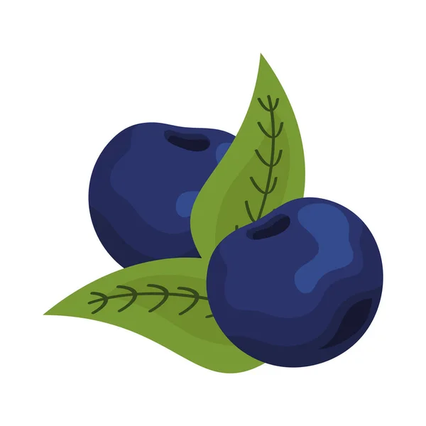 Blueberries Leafs Fruits Icon — Vector de stock
