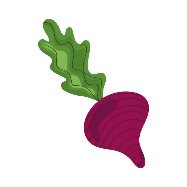 Beet Fresh Vegetable Food Icon — Vettoriale Stock