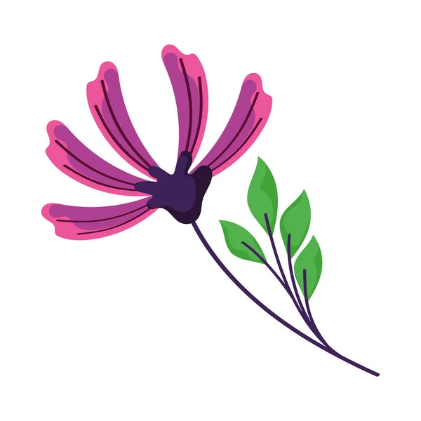 Fioletowy Kwiat Ozdoba Ogrodu Macierzystego — Wektor stockowy